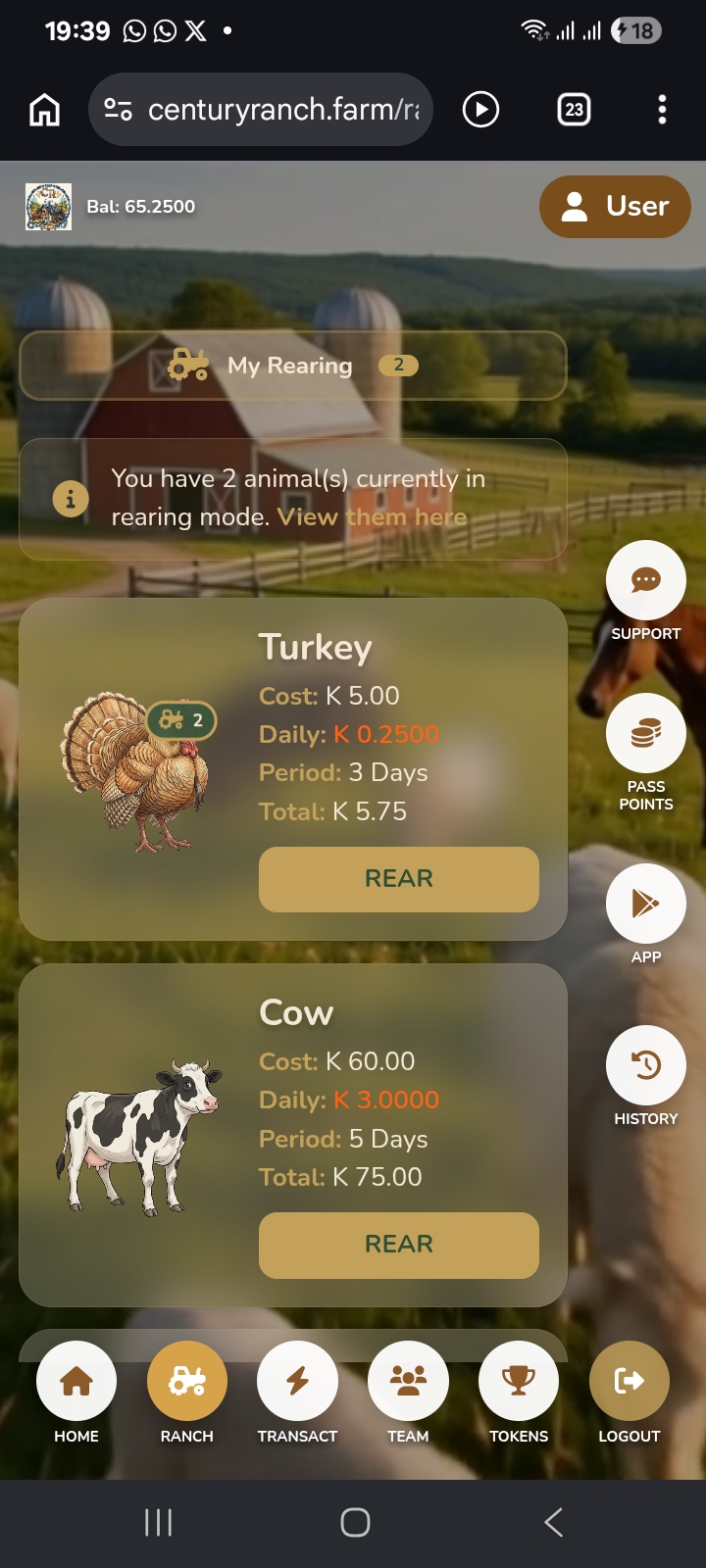 App Screenshot 2