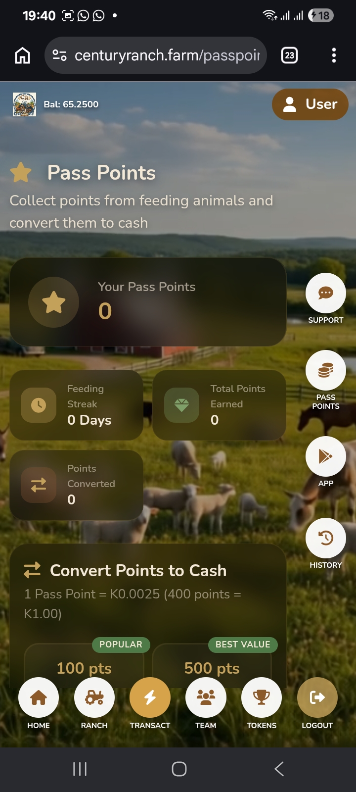 App Screenshot 1