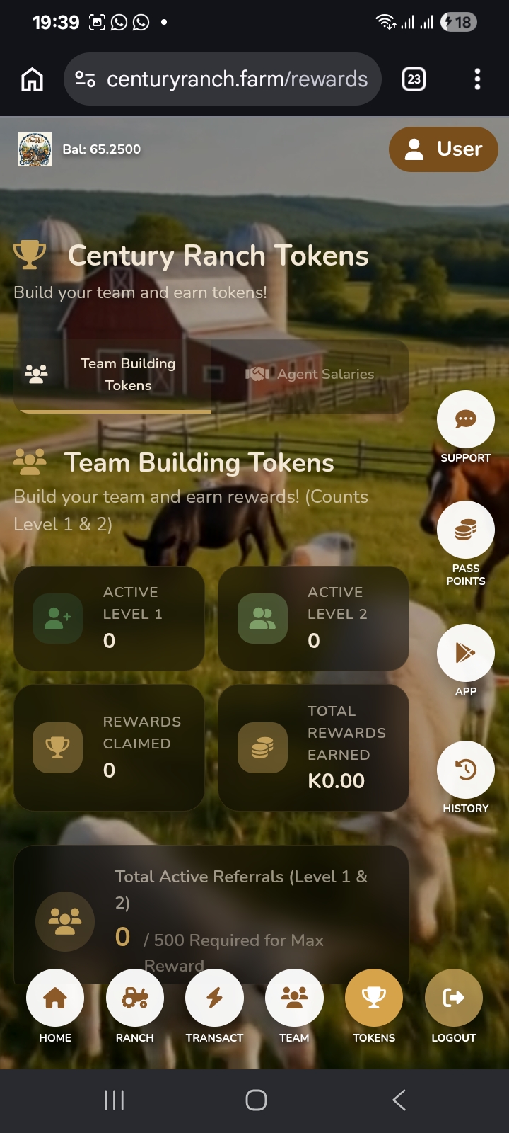 App Screenshot 1